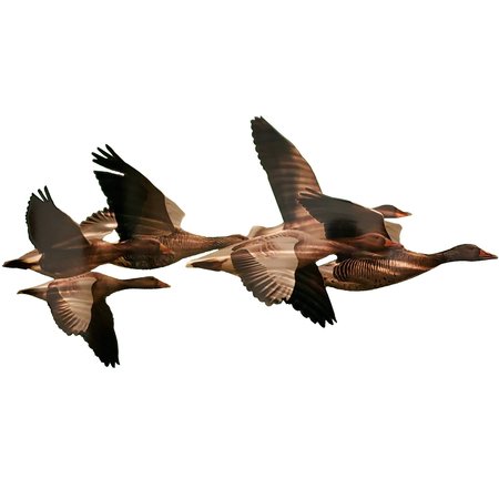 NEXT INNOVATIONS Flock Of Geese Wall Art 101210126